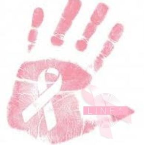 Meet your Posher, Lidia